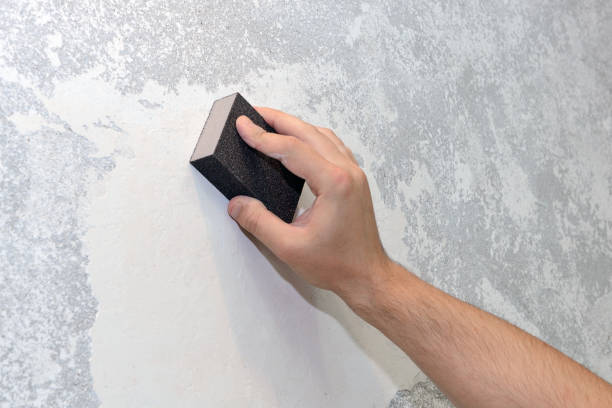 Best Asbestos and Lead Testing During Mold Inspection  in Placitas, NM