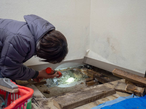 Best Dehumidification Services  in Placitas, NM