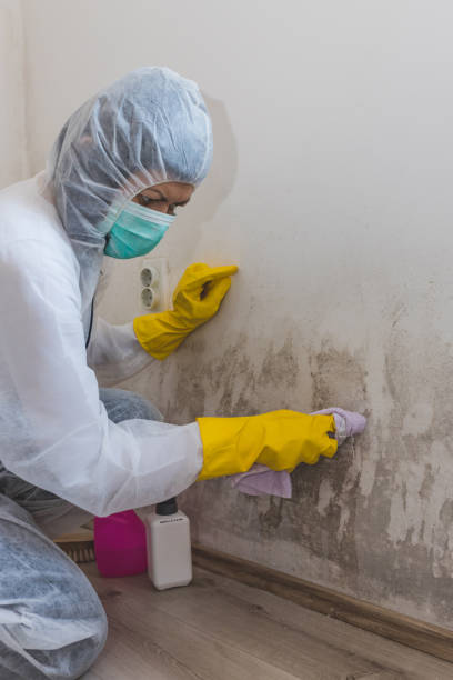 Best Airborne Mold Testing  in Placitas, NM