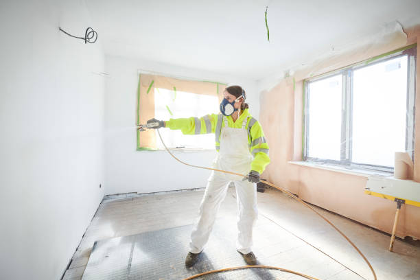 Best Residential Mold Inspection & Testing  in Placitas, NM