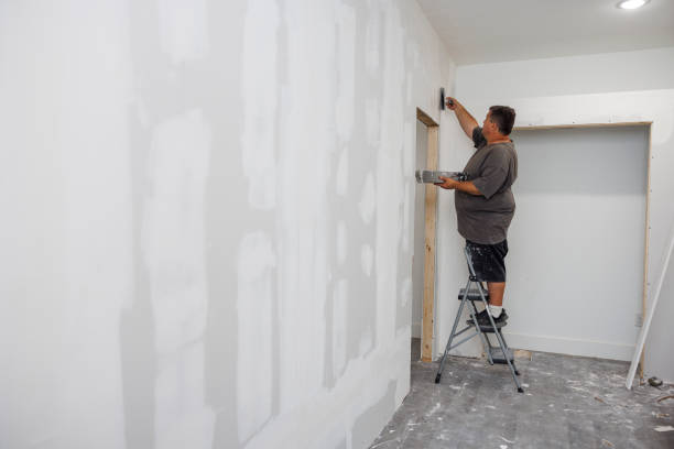 Best Mold Documentation for Insurance Claims  in Placitas, NM