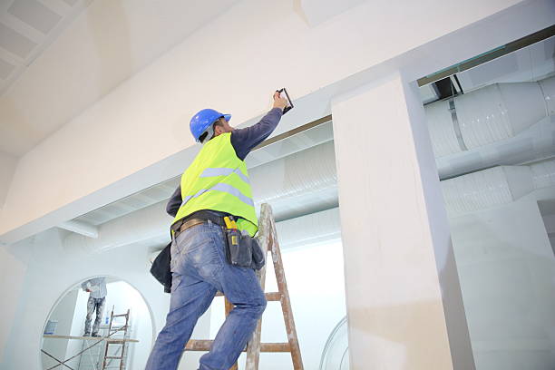 Best Emergency Mold Remediation  in Placitas, NM
