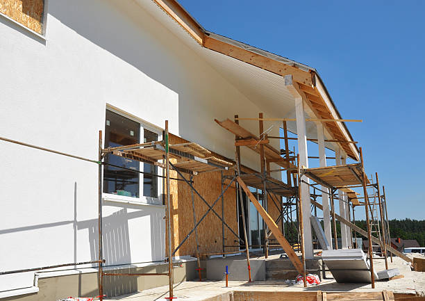 Reliable Placitas, NM Mold Removal Solutions