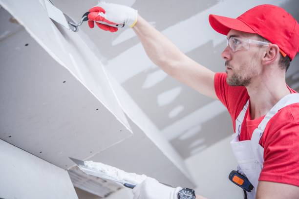 Best Commercial Mold Inspection  in Placitas, NM